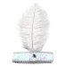 Sequenced Feather Headband