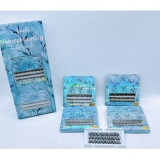 Individual Eyelash Extension