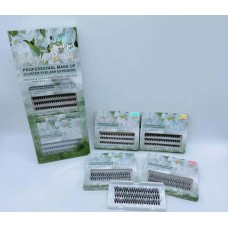 Individual Eyelash Extension