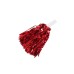  2 PSC cheerleading pompoms