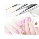 Nail Brushes 