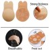 (1Pair) silicone papilla invisible bra