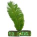Sequenced Feather Headband
