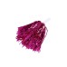  2 PSC cheerleading pompoms